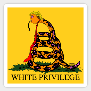 White Privilege Magnet